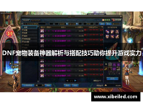 DNF宠物装备神器解析与搭配技巧助你提升游戏实力 DNF宠物装备神器解析与搭配技巧助你提升游戏实力