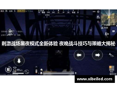 刺激战场黑夜模式全新体验 夜晚战斗技巧与策略大揭秘 刺激战场黑夜模式全新体验 夜晚战斗技巧与策略大揭秘